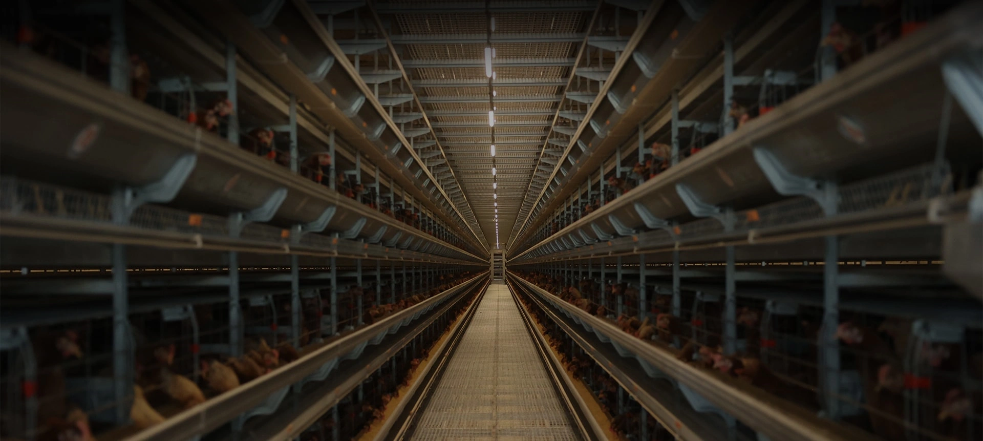 Joy Farm Machinery Banner 3