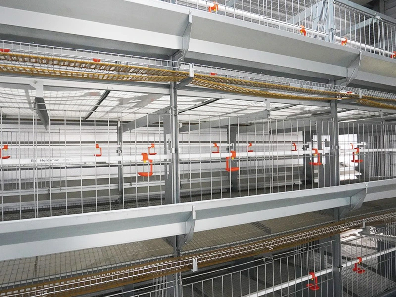 Breeder colony cage
