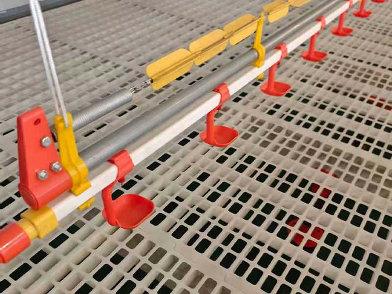 Drinking Line