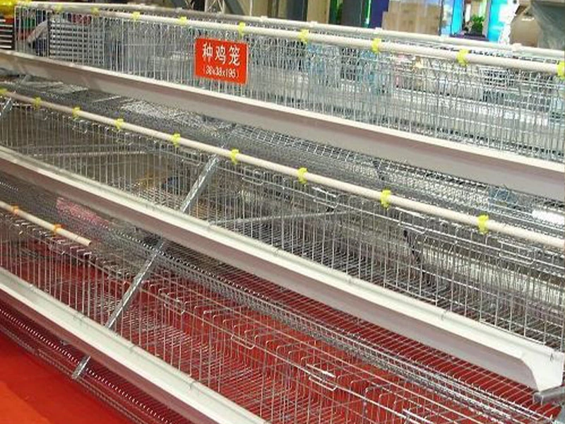 Ladder-type breeder cages (full ladder / semi-ladder)
