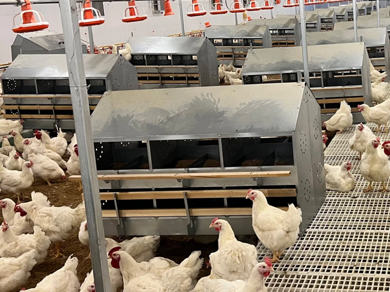 Automatic Laying Nest