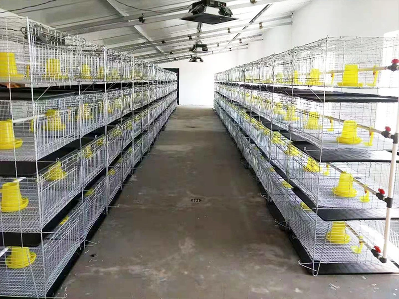 Stacked breeder cages (battery cages)