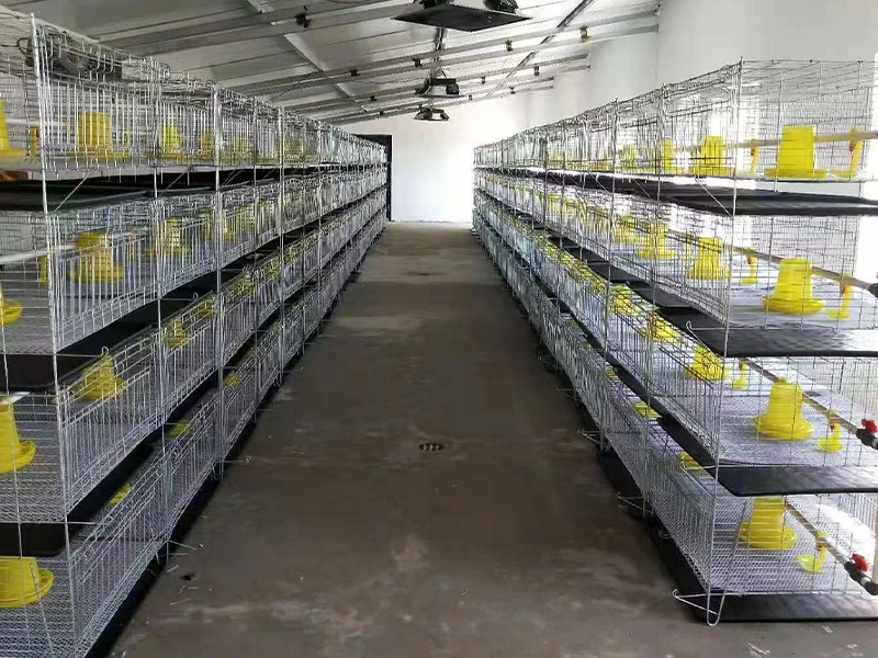 Breeder Cage