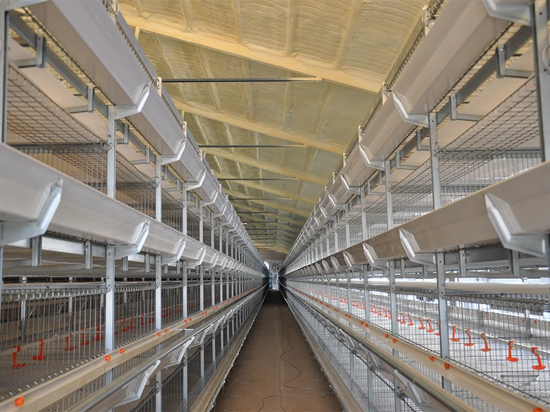 Broiler Cage