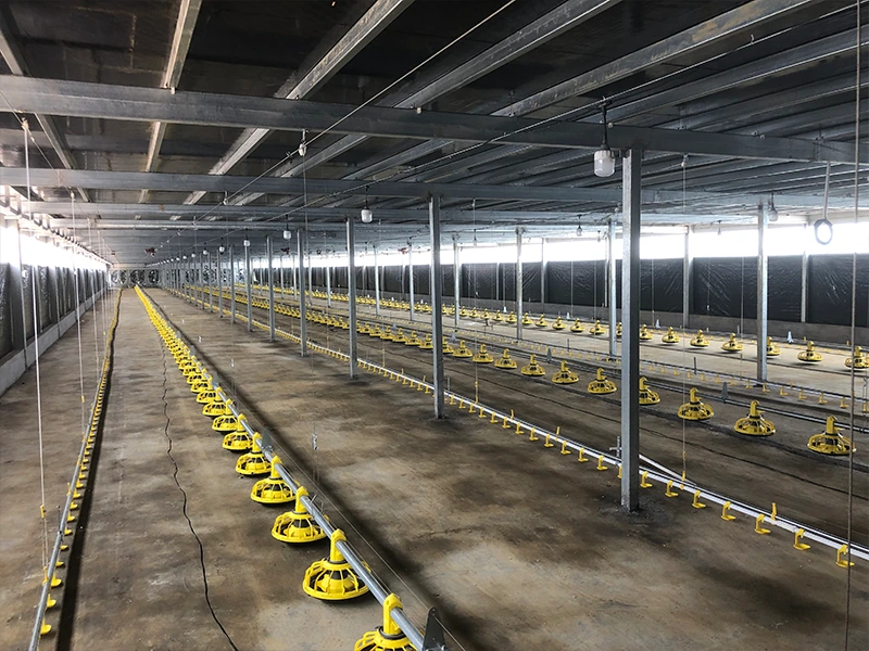 Open-sided Poultry House