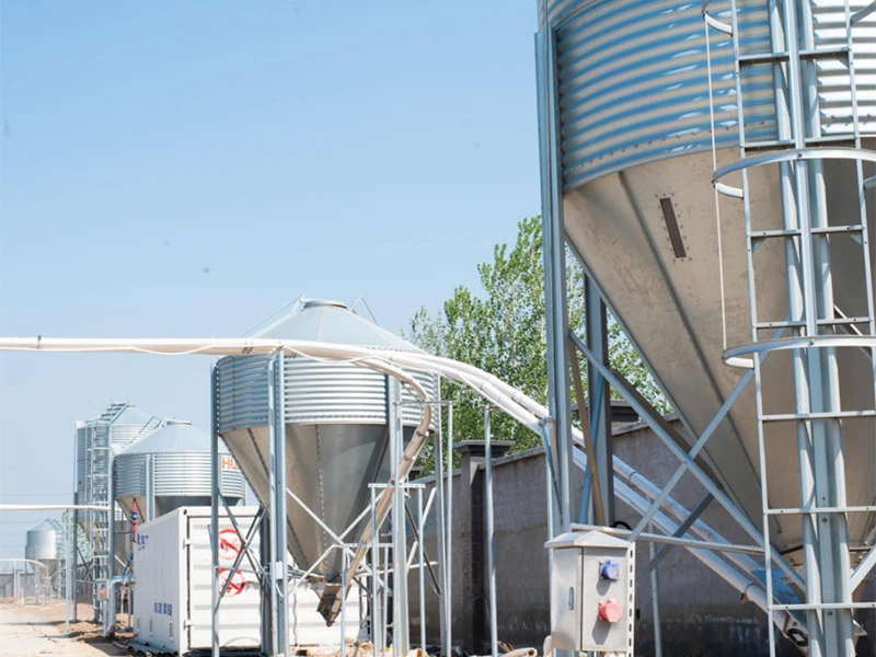 Poultry Feed Delivery Line