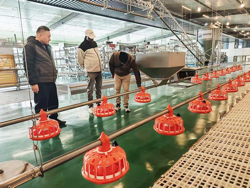 Customers from Africa visited our company