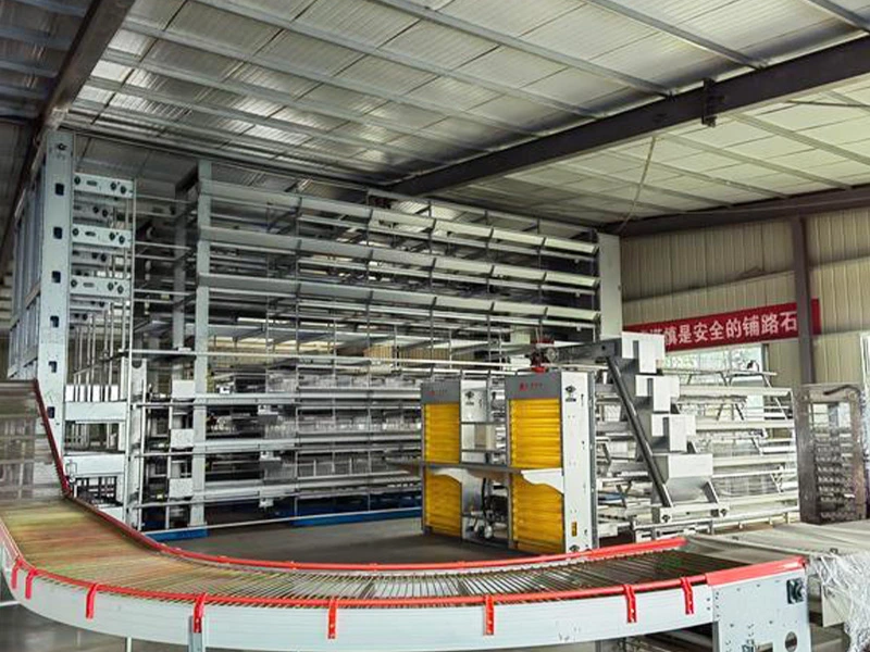 Egg Conveyor