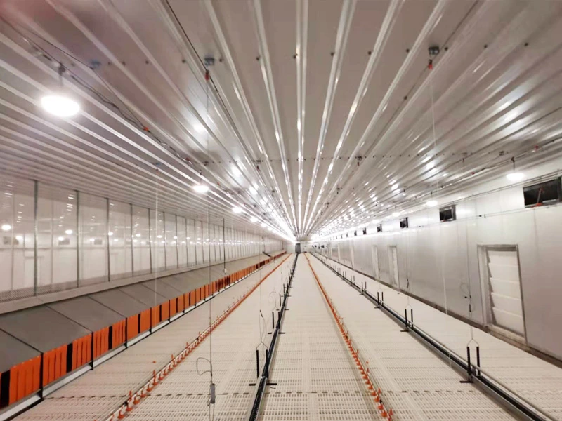 Fully Enclosed Poultry House